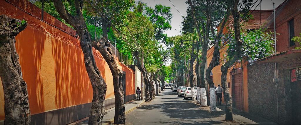 Hostal Abundantia Μεξικό Εξωτερικό φωτογραφία